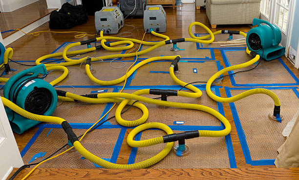 Professional Water Damage Repair technician working in Hatley, WI